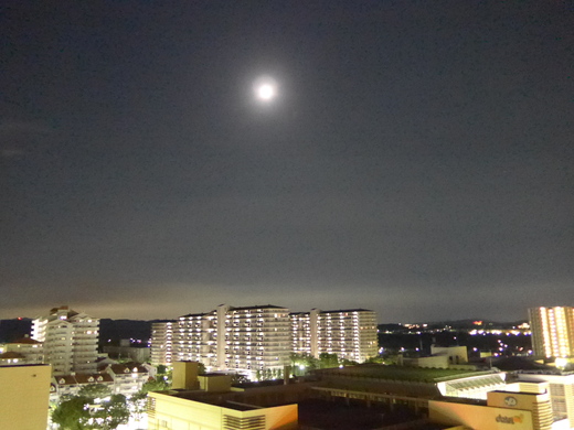 昨夜の月と　今朝の空、そして、加古川の国道沿いの花_b0011578_16333945.jpg