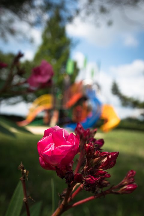 原色の公園_d0353489_2211969.jpg