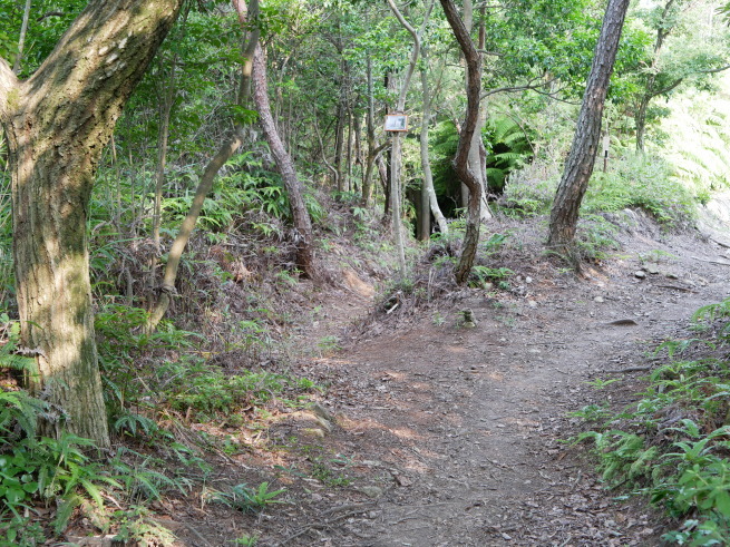 a0339396_22390321.jpg