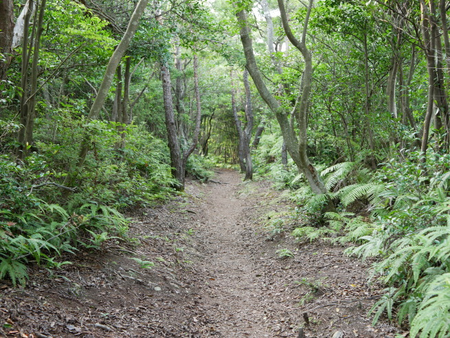 a0339396_22392699.jpg