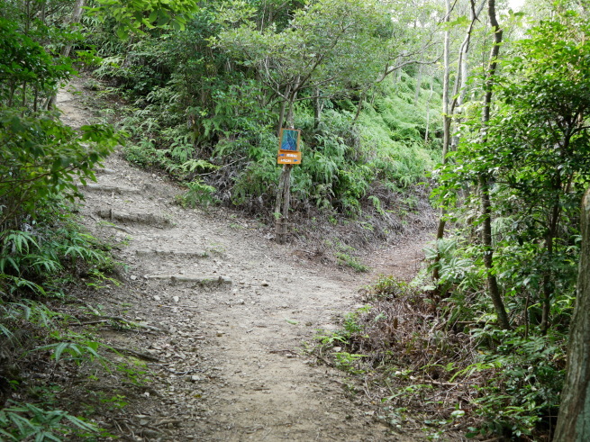 a0339396_22395455.jpg