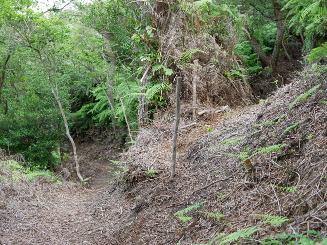 a0339396_22402286.jpg