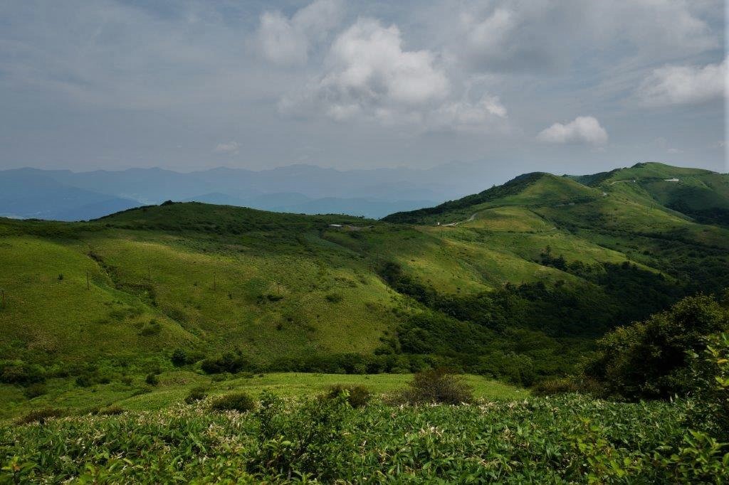 f0365212_10375530.jpg