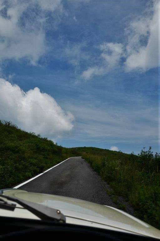 f0365212_10382218.jpg