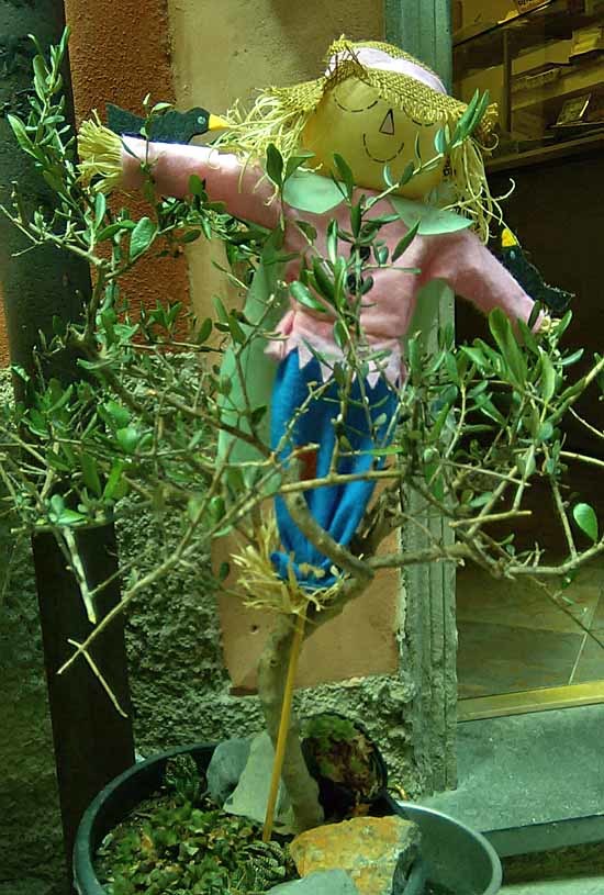 c0009413_22283251.jpg