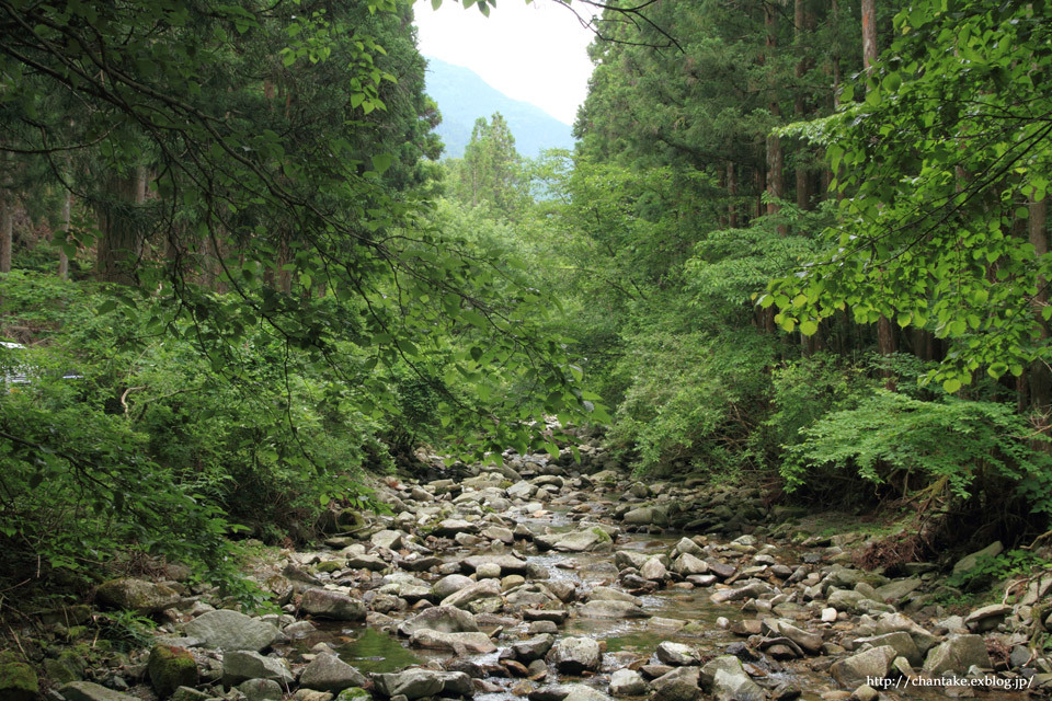 c0189013_01404553.jpg
