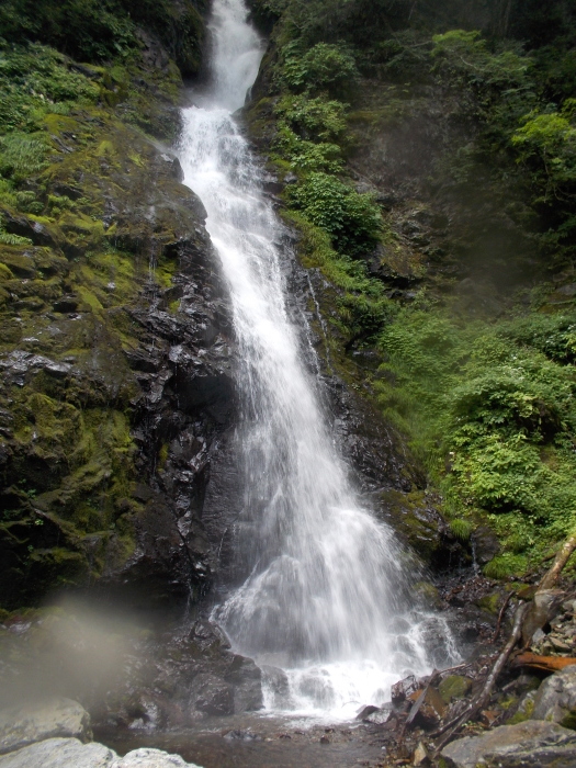 2017年7月15-16日、秩父湖雲取林道入口～和名倉沢～和名倉山(白石山）～二瀬尾根～帰着_b0037220_23590111.jpg