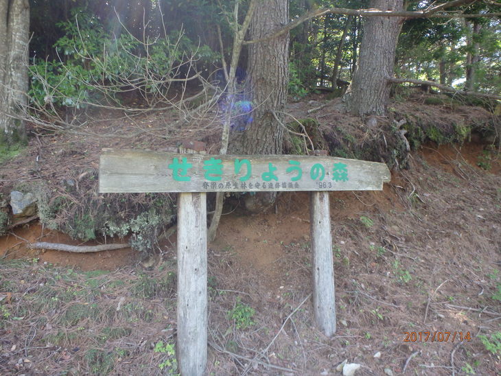 f0193521_529791.jpg