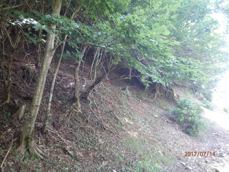 f0193521_7203310.jpg