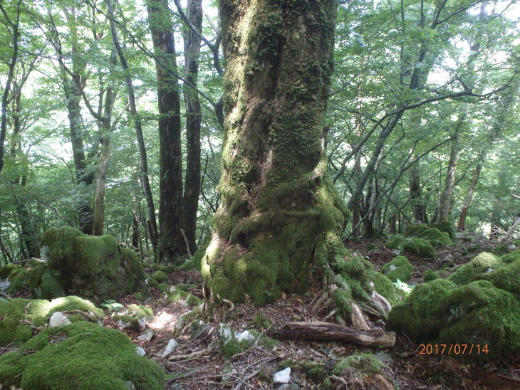 f0193521_8582753.jpg
