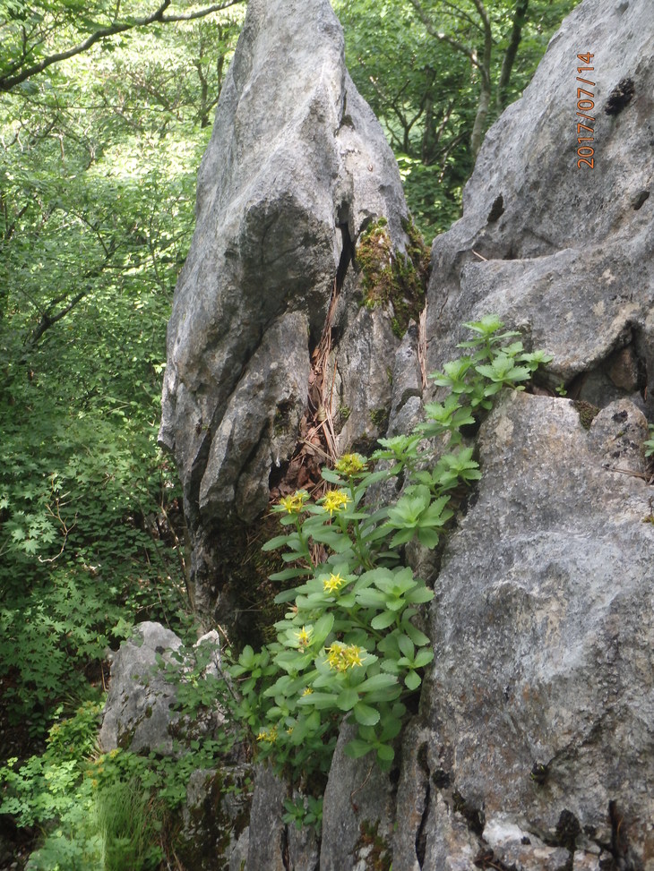 f0193521_9103519.jpg