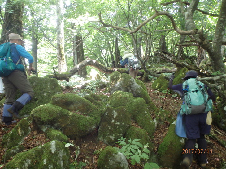 f0193521_91415.jpg