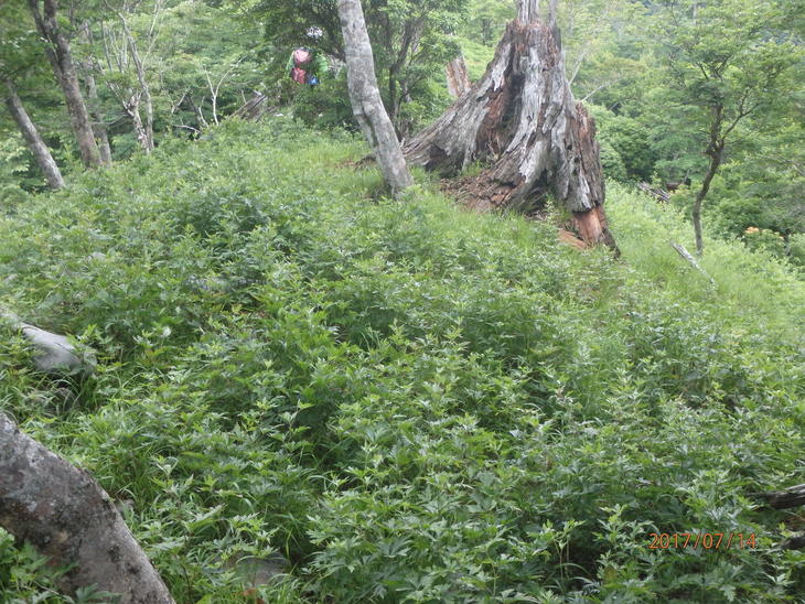 f0193521_9173015.jpg
