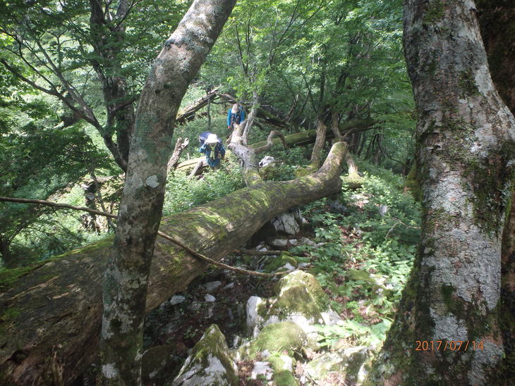 f0193521_9194652.jpg