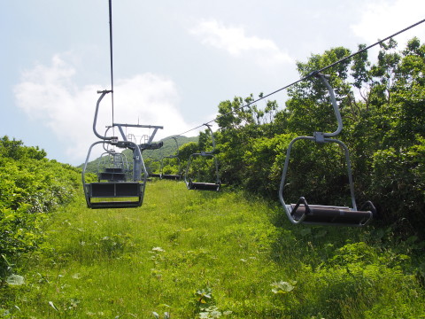 ミチノクコザクラ:岩木山(弘前市)*2017.07.15_b0147224_0232370.jpg