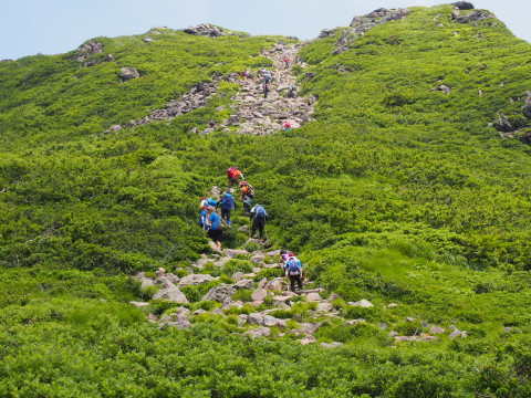 ミチノクコザクラ:岩木山(弘前市)*2017.07.15_b0147224_026073.jpg
