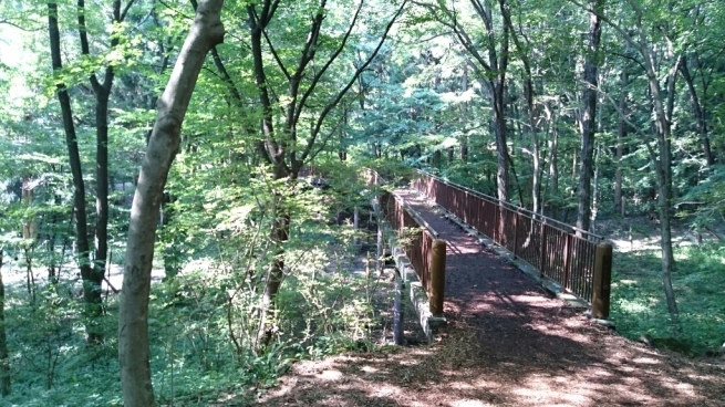 b0251624_00073563.jpg