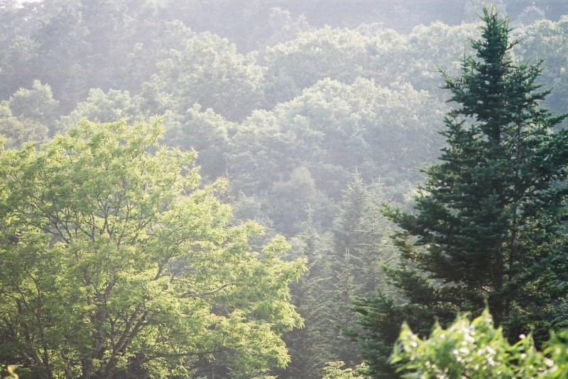 f0362725_16033886.jpg