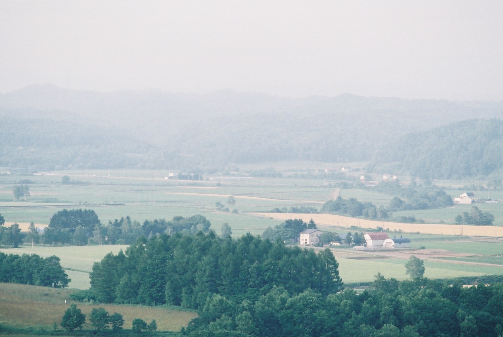 f0362725_16042787.jpg