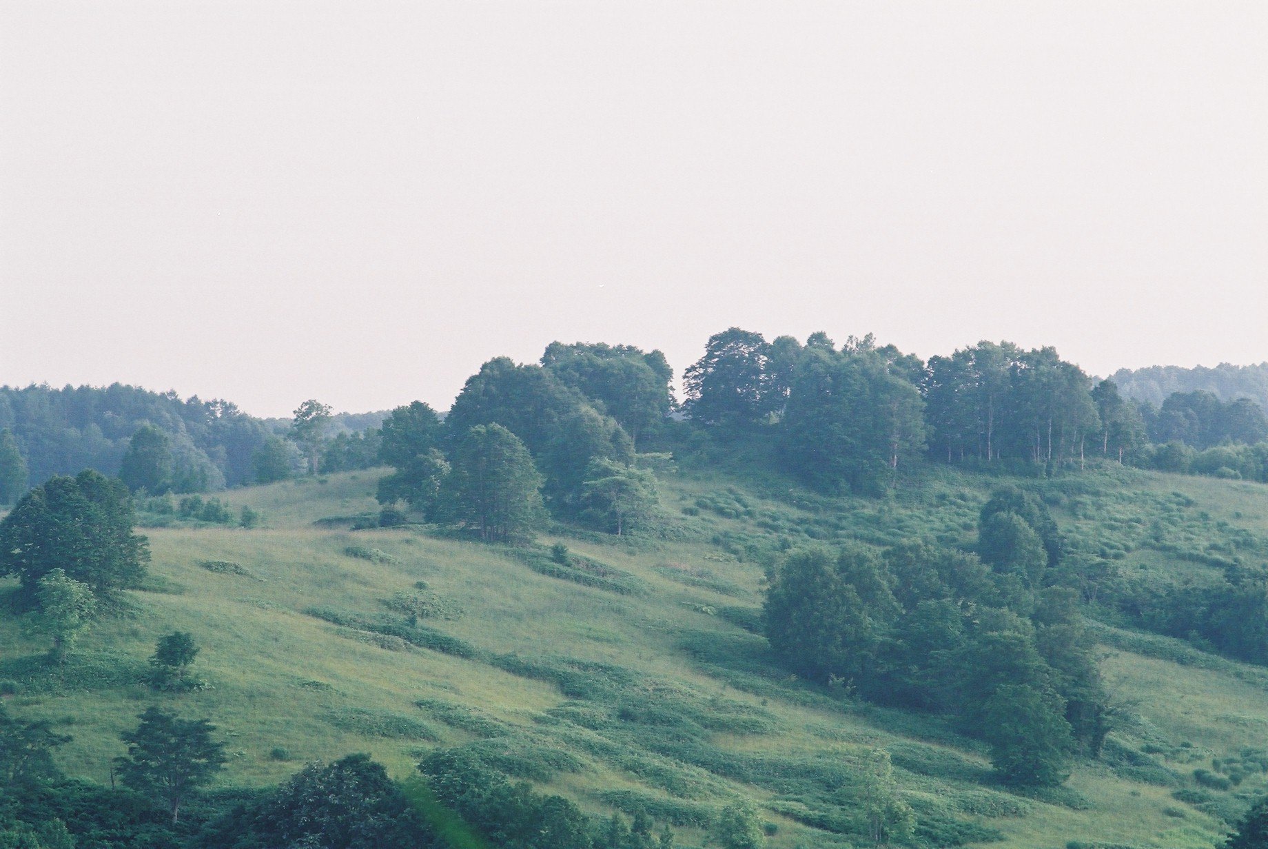 f0362725_16044540.jpg