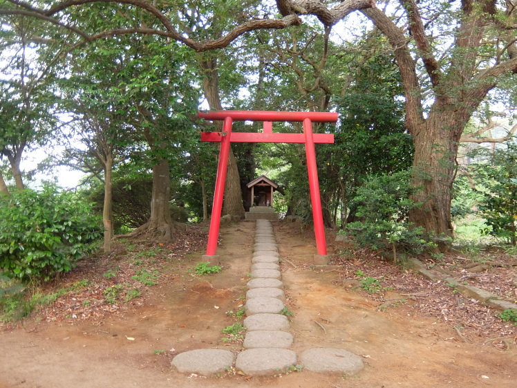 大池公園で朝散歩_f0363628_20252088.jpg