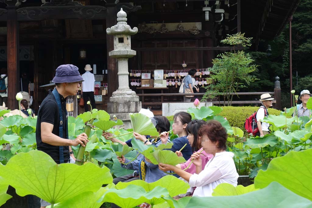 三室戸寺・蓮酒を楽しむ会_d0250840_01222422.jpg