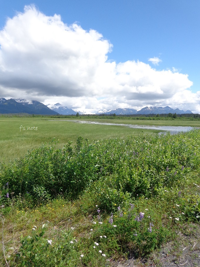 d0356844_06184895.jpg