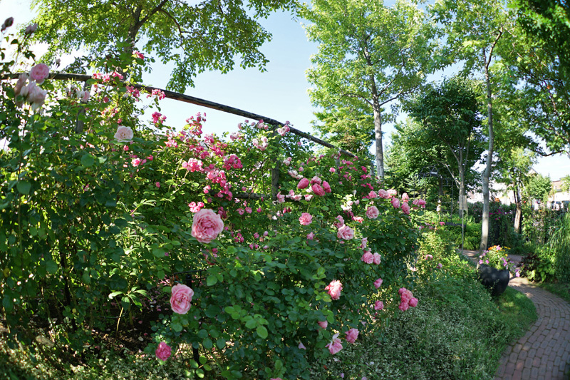 a0112747_10361017.jpg