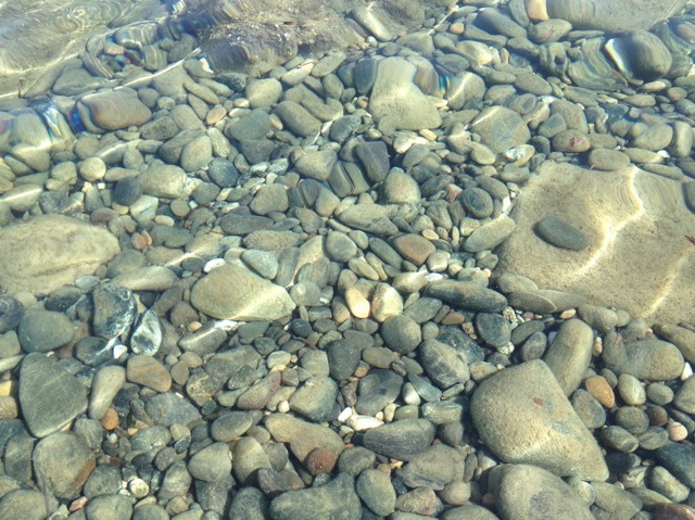 b0069848_05365624.jpeg