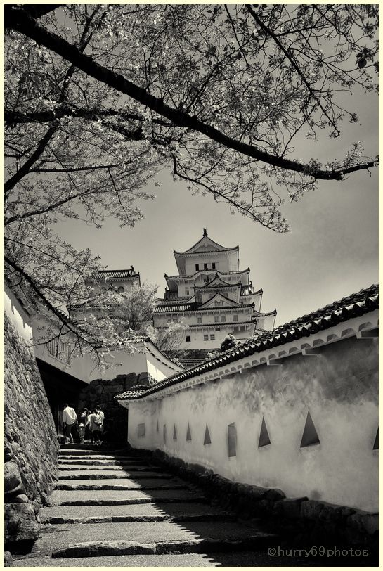 Record of the memory #70 Travel 12th day Himeji castle_e0063851_2047729.jpg