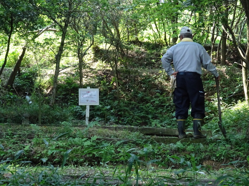 c0108460_16361422.jpg