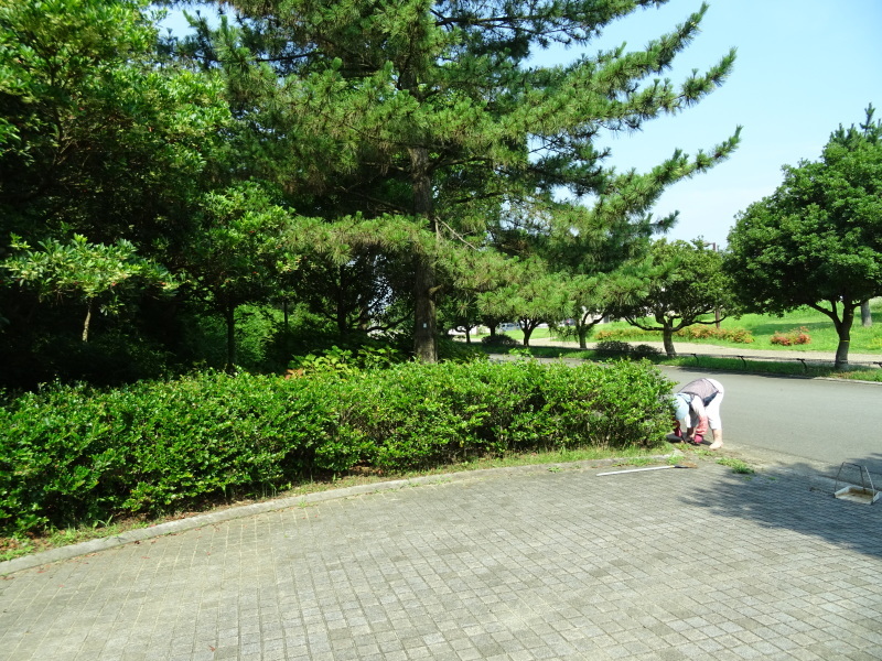 c0108460_16361663.jpg