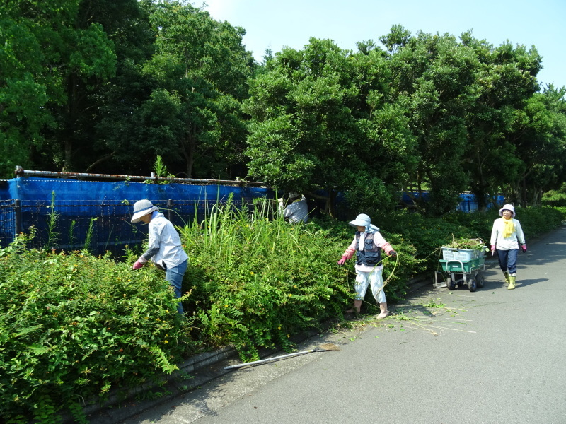 c0108460_16364340.jpg