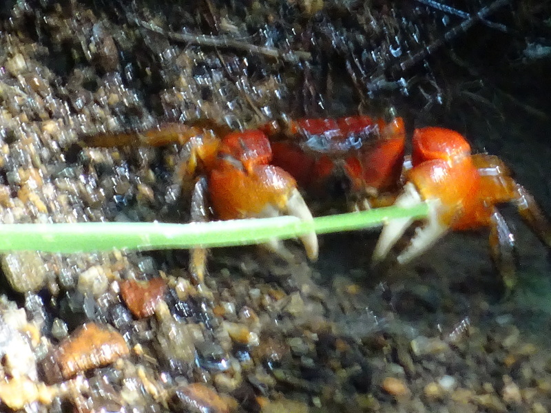 c0108460_16381767.jpg