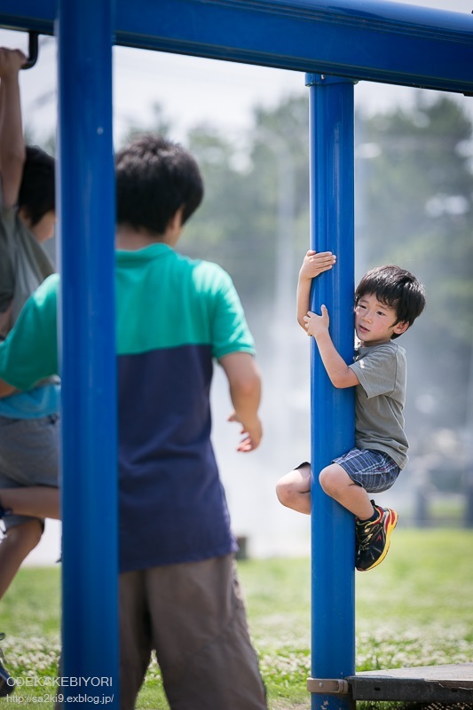 大洗わくわく科学博物館 科学と水のきらきらパーク オデカケビヨリ 大洗わくわく科学博物館 科学と水のきらきらパーク オデカケビヨリ