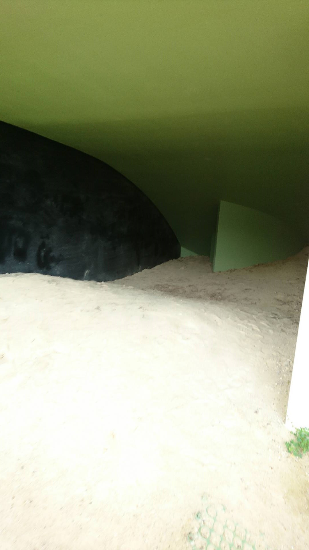 岐阜妙景　モネの池、ツインアーチ138、養老天命反転地_c0002171_22521969.jpg
