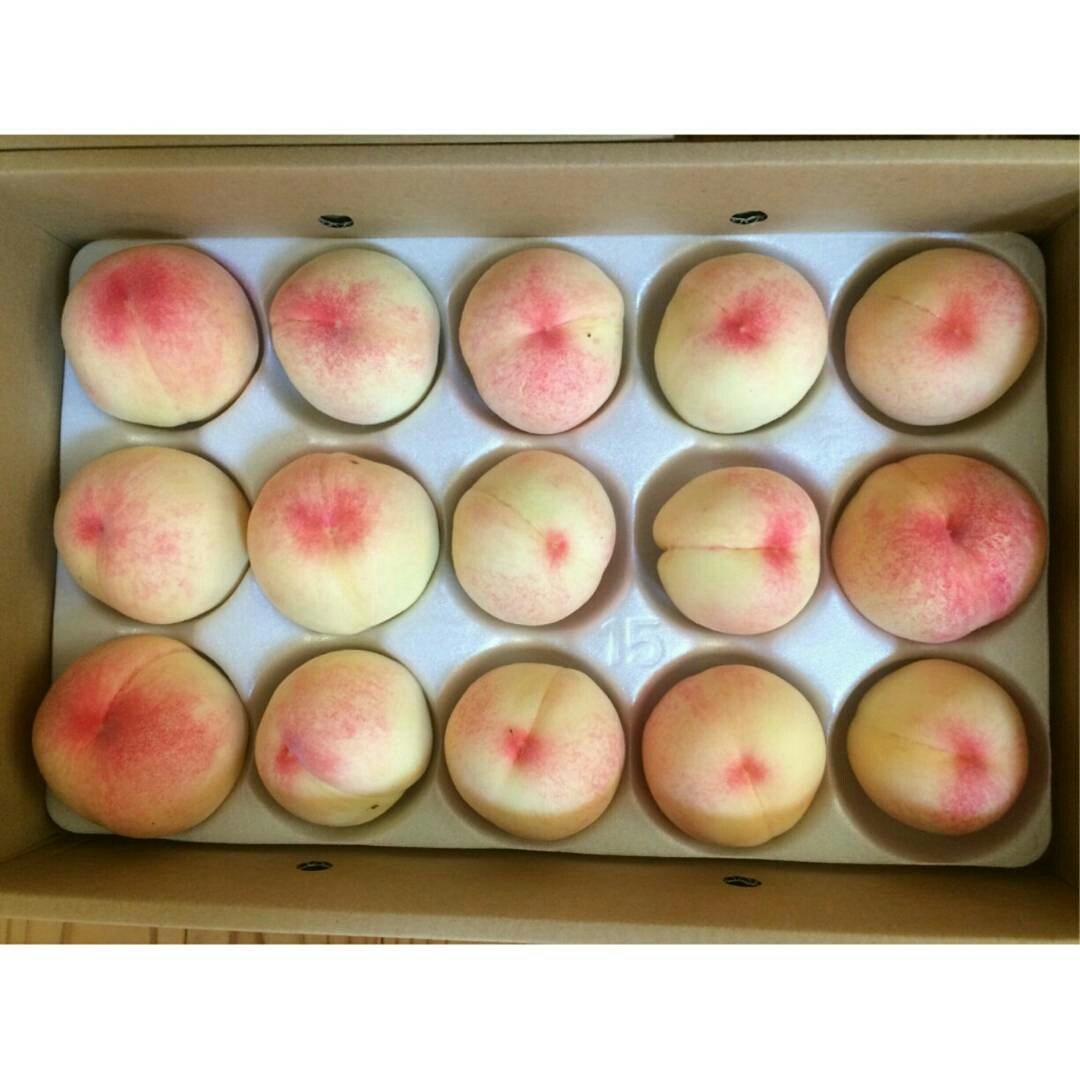 【竹中農園さんの桃、限定特別価格販売】_c0155980_11485508.jpg