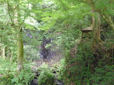 e0268680_21421692.jpg