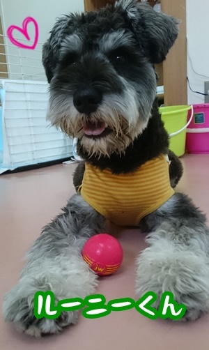 まったり(*´ω`)_f0357682_08422783.jpg