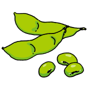 新鮮な枝豆で ケ セラ セラ