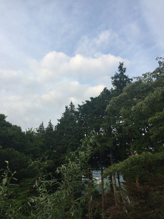 2017年7月16日 あと2週間_b0098584_14234116.jpg