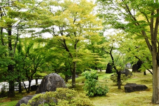 緑豊かな智積院庭園_b0329186_08072137.jpg