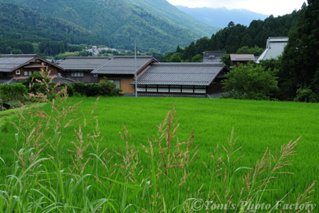 新緑の大原～ 歴史と自然の素朴な里の景色を歩く_b0155692_2224391.jpg