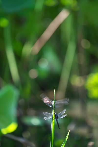 f0233999_12141711.jpg