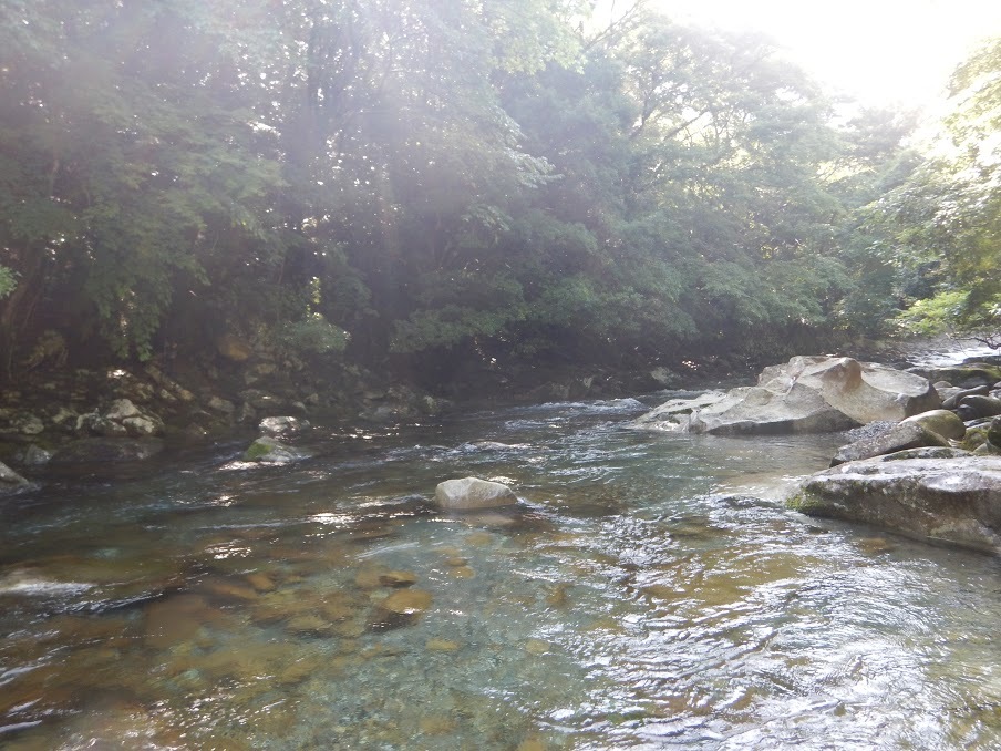 雨の後だから 第３の釣り