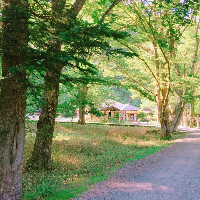 奥日光〜湯ノ湖〜温泉寺_d0138811_19300801.jpg