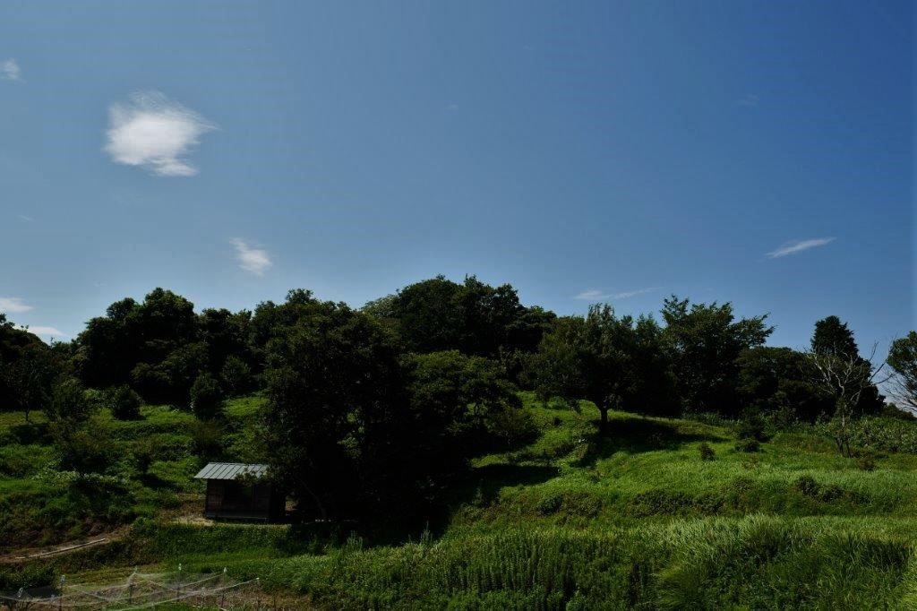 f0365212_19243028.jpg