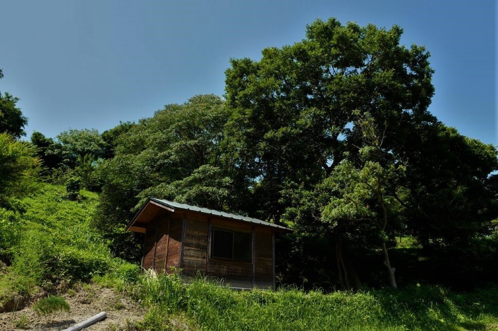 f0365212_19243867.jpg