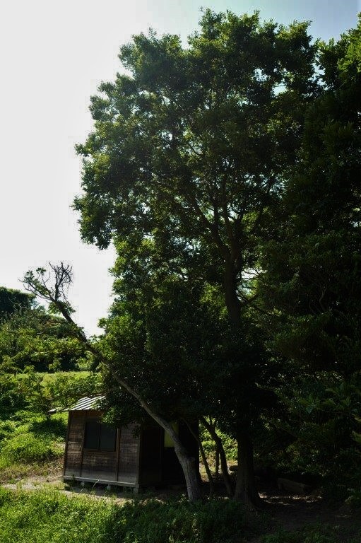 f0365212_19244506.jpg