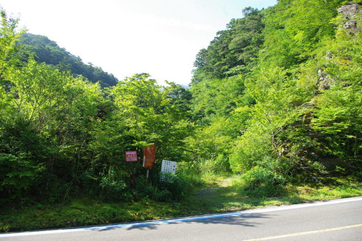 d0341514_20451778.jpg